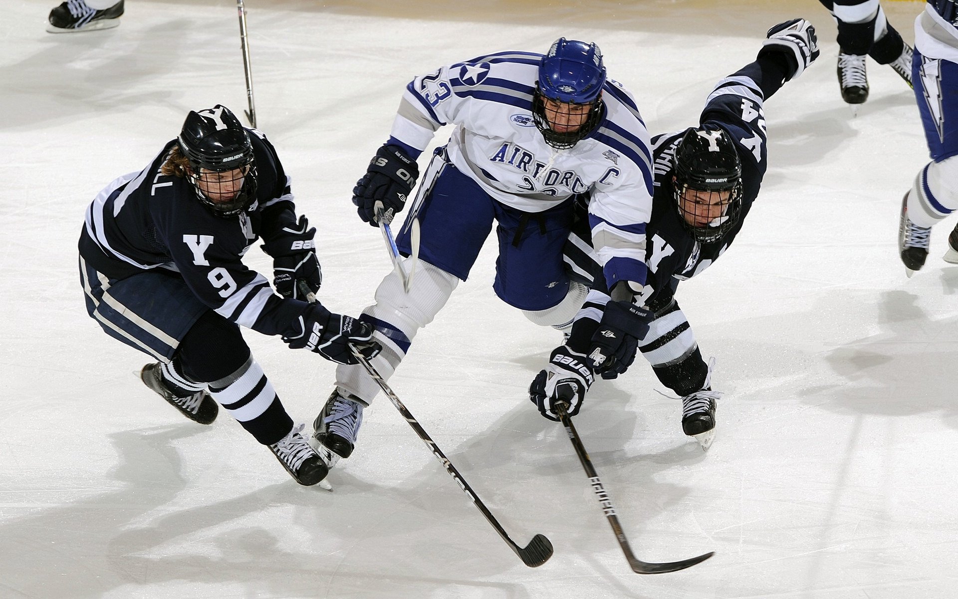 日本体育界人士:杭州亚运会值得骄傲,组织有序,志愿者热情。