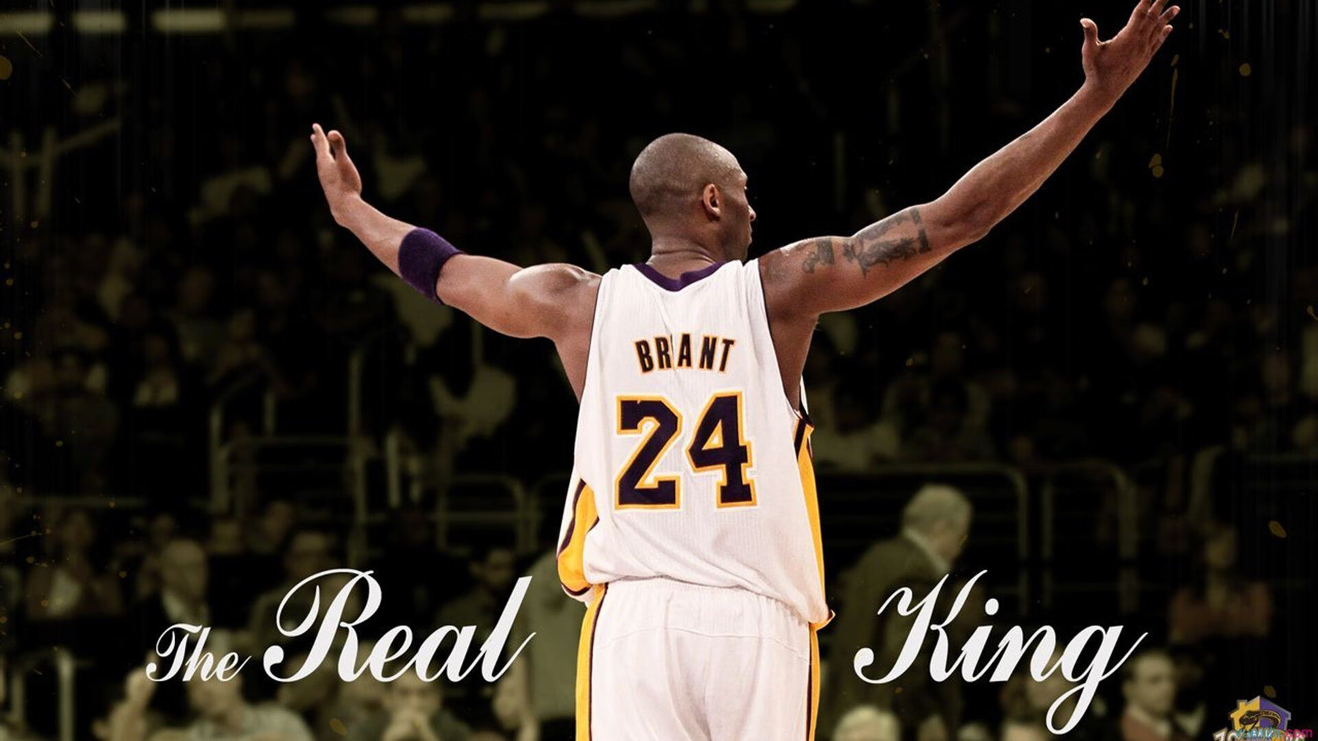 【年度精彩赛事】战术与技艺巅峰对决全景回顾，战术技术